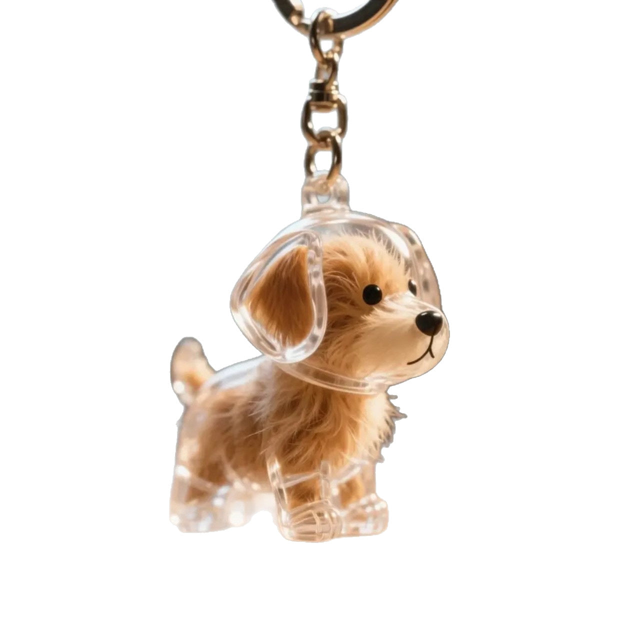 Pet Kitten Puppy Transparent Fur Storage Box Cute Animal Fur Ball Storage Pendant Decoration Commemorative Dustproof Box Gift