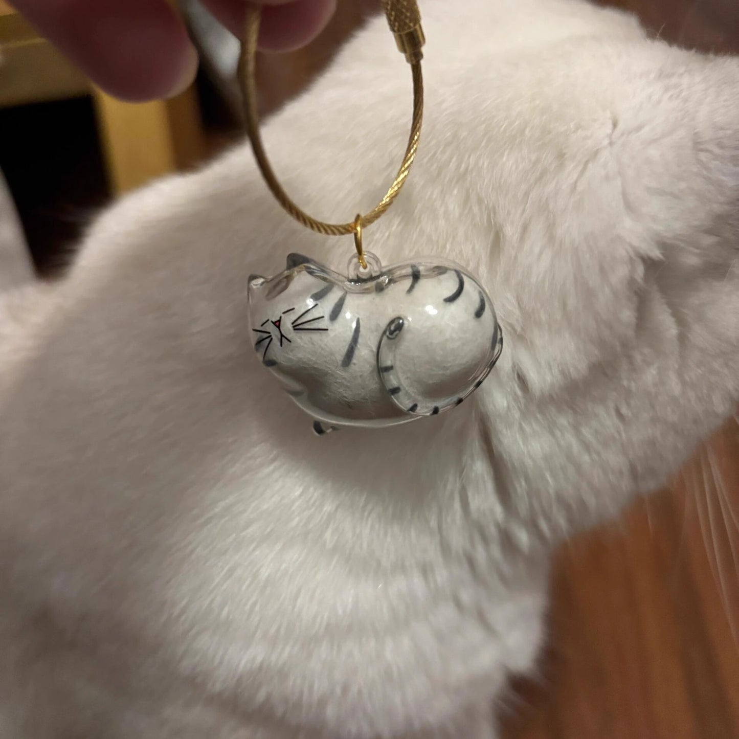 Pet Kitten Puppy Transparent Fur Storage Box Cute Animal Fur Ball Storage Pendant Decoration Commemorative Dustproof Box Gift