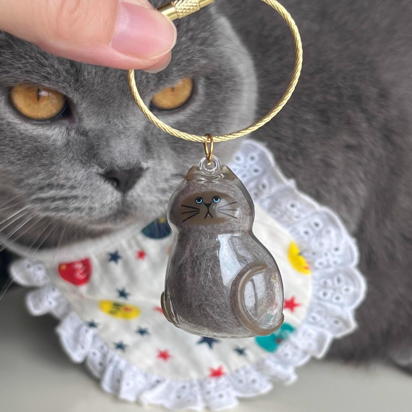 Pet Kitten Puppy Transparent Fur Storage Box Cute Animal Fur Ball Storage Pendant Decoration Commemorative Dustproof Box Gift