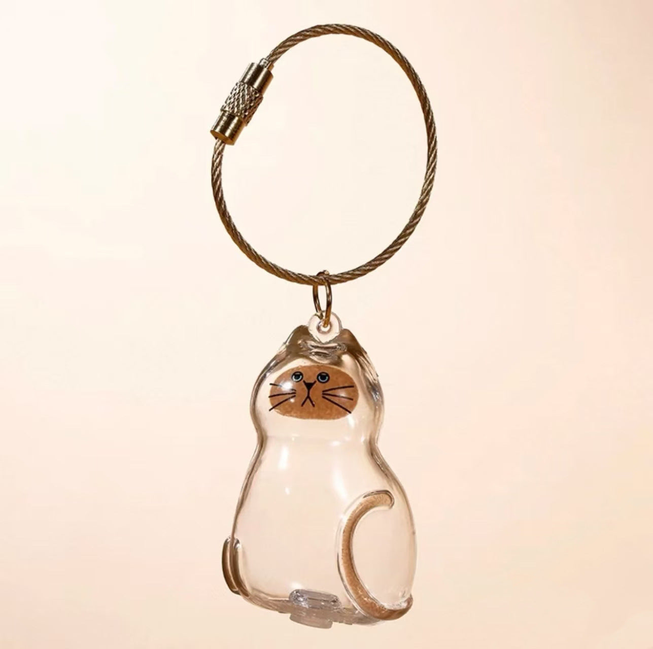 Pet Kitten Puppy Transparent Fur Storage Box Cute Animal Fur Ball Storage Pendant Decoration Commemorative Dustproof Box Gift