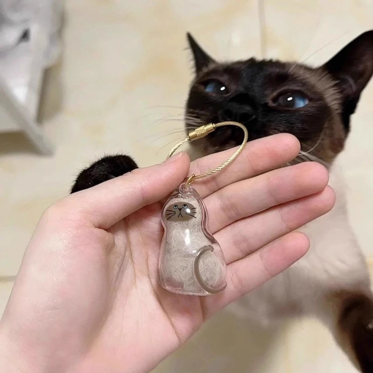 Pet Kitten Puppy Transparent Fur Storage Box Cute Animal Fur Ball Storage Pendant Decoration Commemorative Dustproof Box Gift