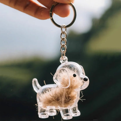 Pet Kitten Puppy Transparent Fur Storage Box Cute Animal Fur Ball Storage Pendant Decoration Commemorative Dustproof Box Gift