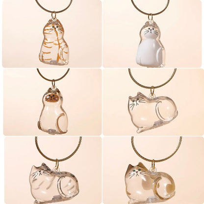 Pet Kitten Puppy Transparent Fur Storage Box Cute Animal Fur Ball Storage Pendant Decoration Commemorative Dustproof Box Gift