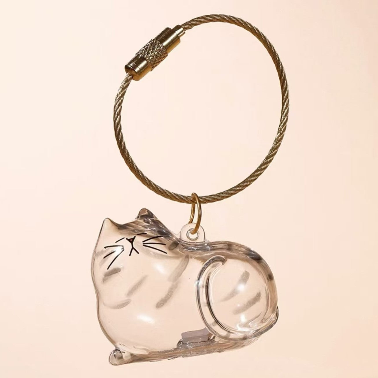 Pet Kitten Puppy Transparent Fur Storage Box Cute Animal Fur Ball Storage Pendant Decoration Commemorative Dustproof Box Gift