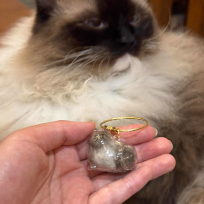 Pet Kitten Puppy Transparent Fur Storage Box Cute Animal Fur Ball Storage Pendant Decoration Commemorative Dustproof Box Gift